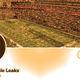 Image for article titled NFL Schedule Leaks was just another troll job